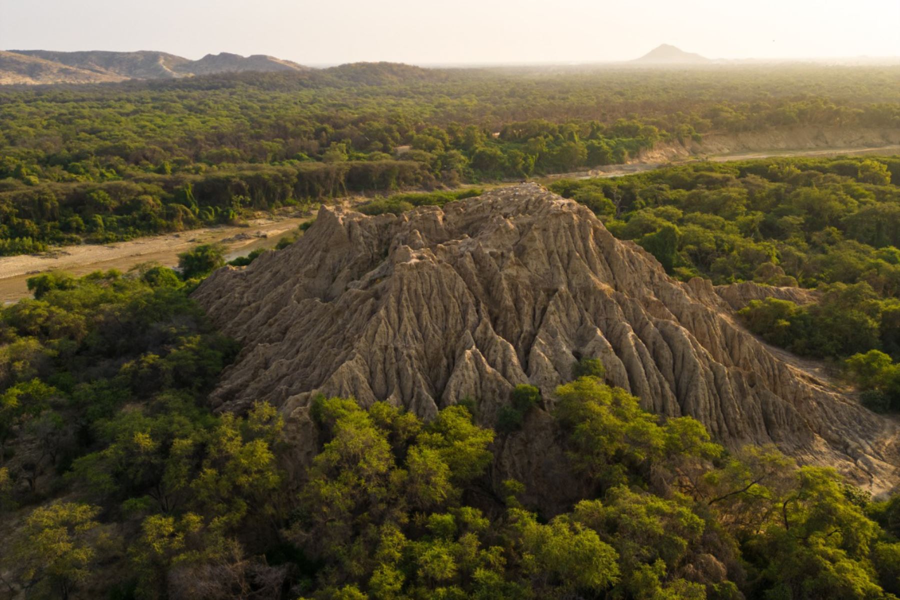 Áreas Naturales Protegidas