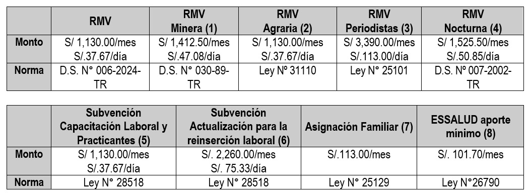 Remuneración Mínima Vital